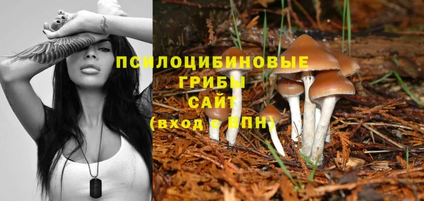 спайс Балахна
