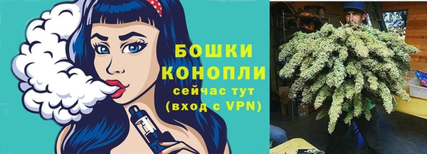 гидропоника Пересвет