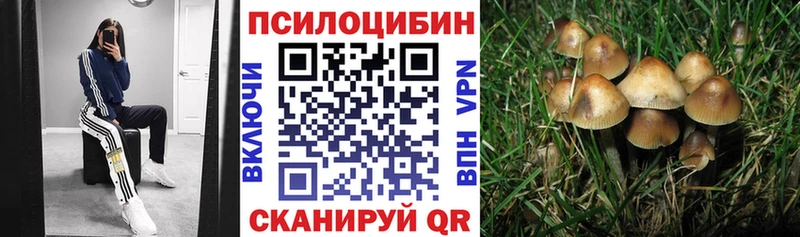 Галлюциногенные грибы GOLDEN TEACHER  продажа наркотиков  Чудово 